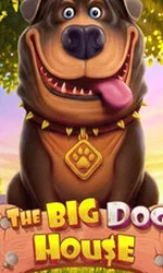 The Big Dog House