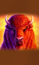 Buffalo 50