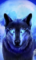 Dark Wolf