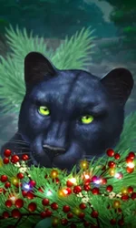 Blue Panther -CE